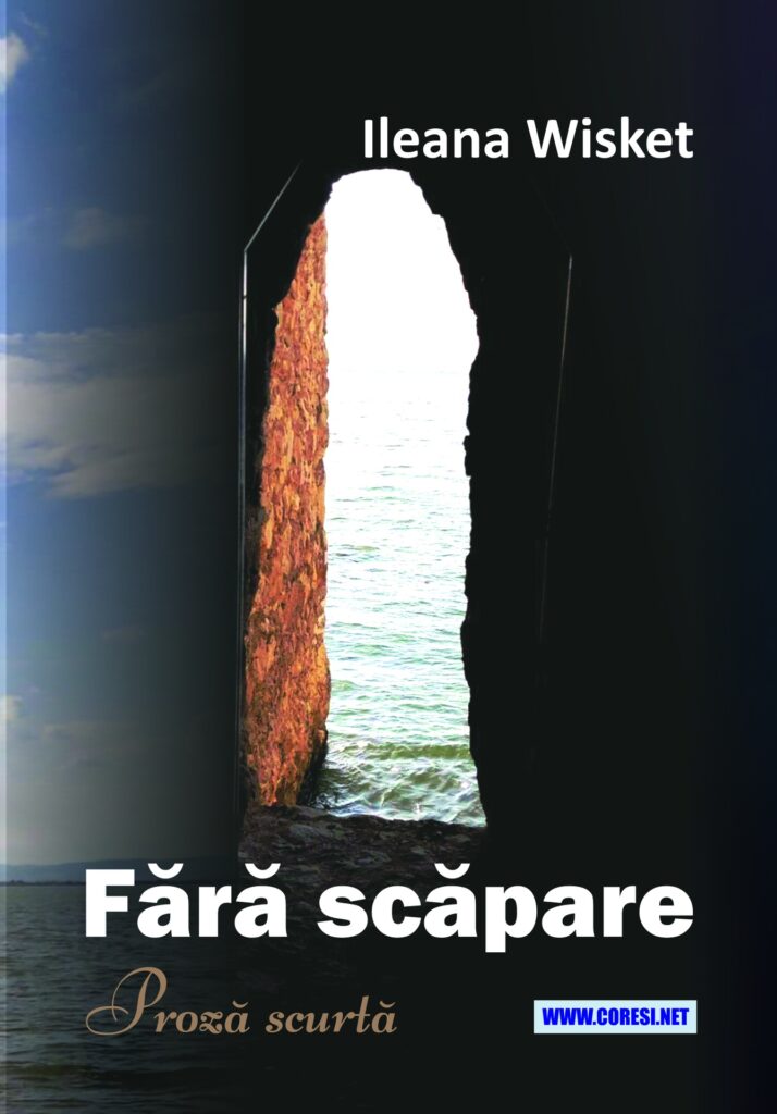 Book cover for Fără scăpare